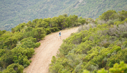 Sardinia Trail - dlaczego warto tam wystartować?