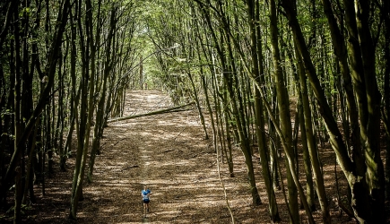 Forest Run 2019