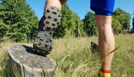 SALOMON WILDCROSS - test butów