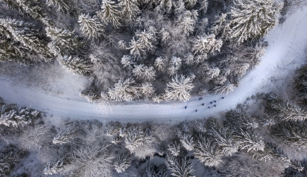 Pierwsza pomoc podczas biegania po górach