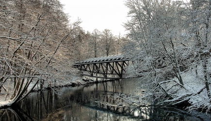 Rzecz o zawodów biegowych substytucji.