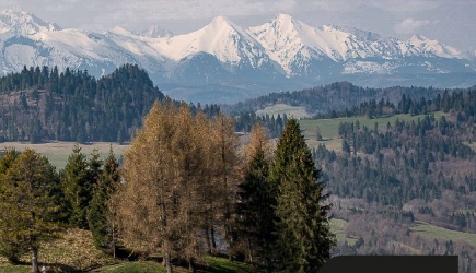 Wiemy już gdzie odbędą się Mistrzostwa Polski w Biegach Górskich 2024?