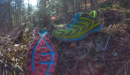 HokaOneOne Speedgoat