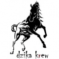 Fundacja Dzika Krew