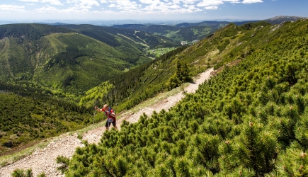 Krwawy Chojnik Maraton