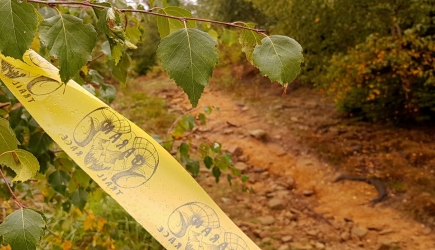 What's happiness to you, David?