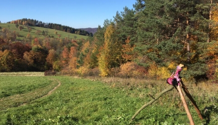 Boli mnie cały Rysiek