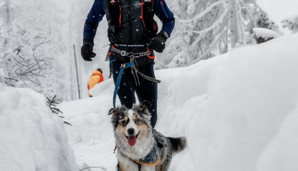 Turbacz Winter Trail na 6 Łap : oczami psiaka :)