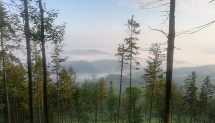 Minimalizm w Dobrej Formie, czyli Bieg dookoła Doliny Wisły