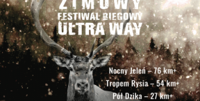 Pół Dzika na ULTRA WAY, czyli sam na sam z niezłą bestią na Kaszubach
