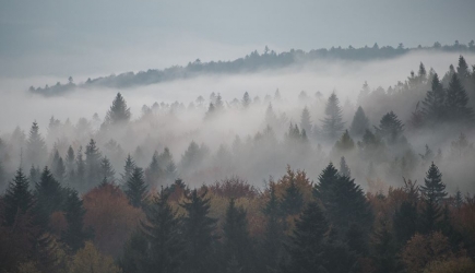 Ultra Dwie Magury, czyli Beskid Niski na biegowo