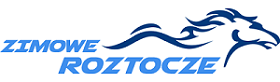 Przejdź do strony www organizatora